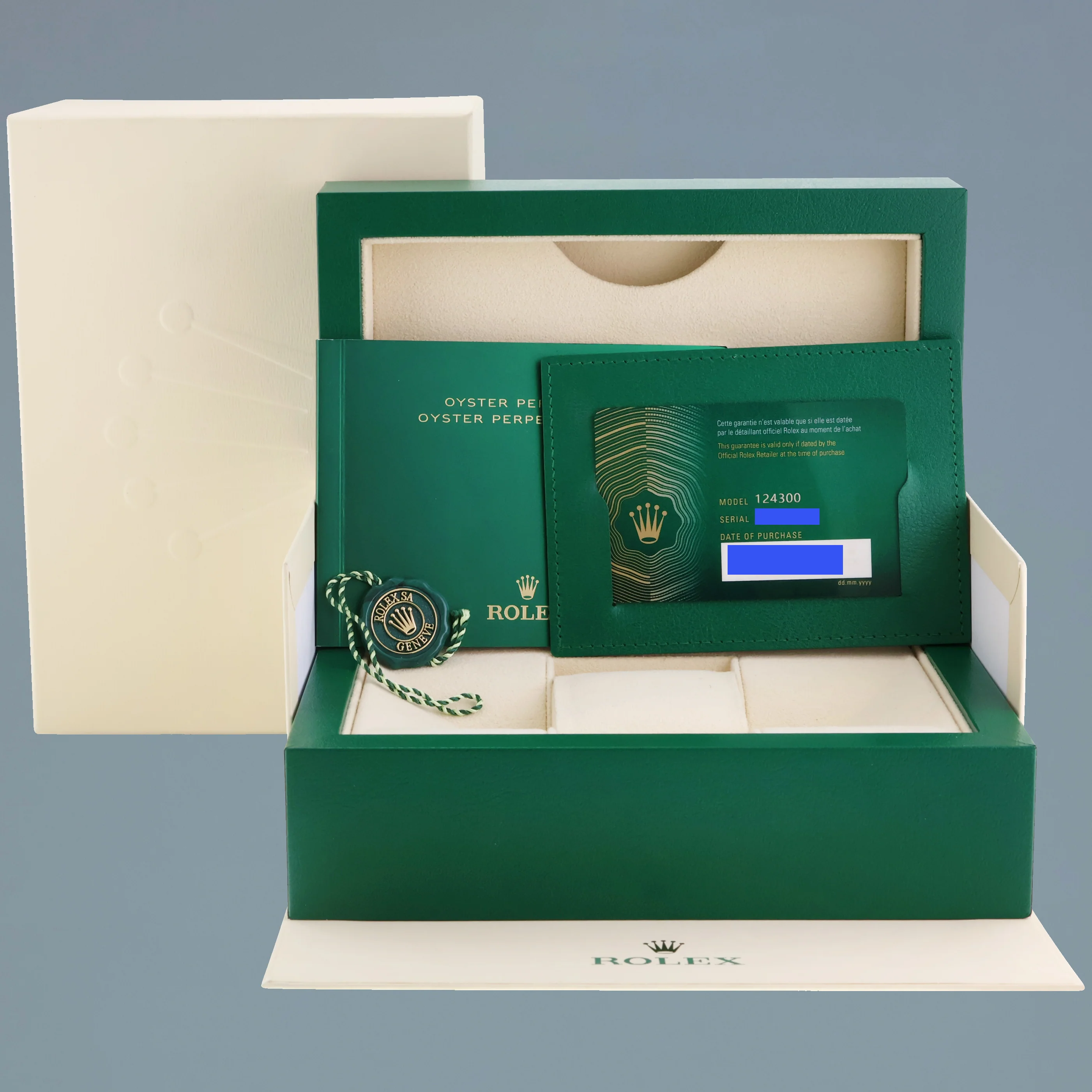 2023 NEW PAPERS Rolex Oyster Perpetual 41mm Silver Oyster 124300 Watch Box - Image 7